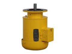 液壓泵專用電機